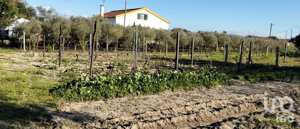 Terrain à bâtir à Pinhal Novo de 2 250 m²