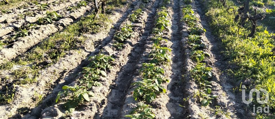 Terrain à bâtir à Pinhal Novo de 2 250 m²