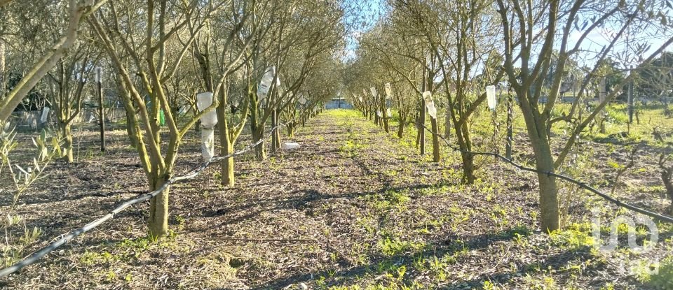 Terrain à bâtir à Pinhal Novo de 2 250 m²