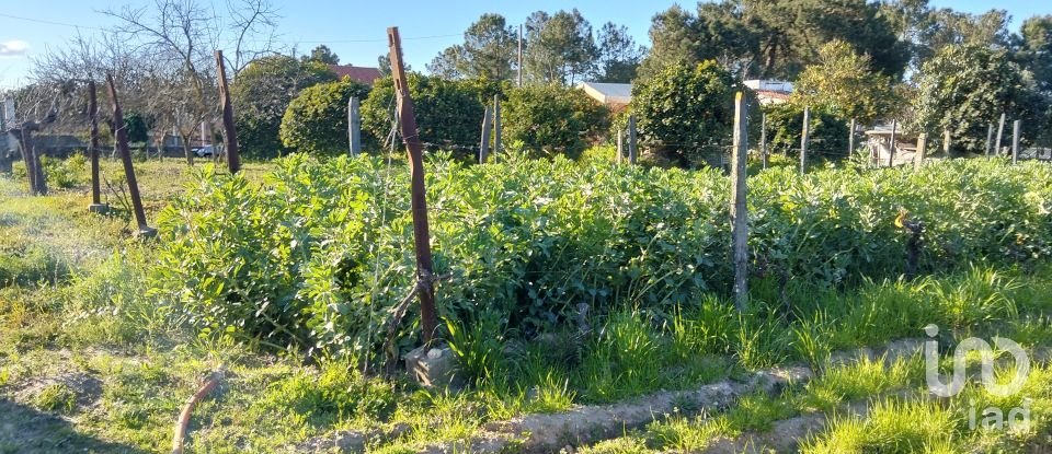 Terrain à bâtir à Pinhal Novo de 2 250 m²