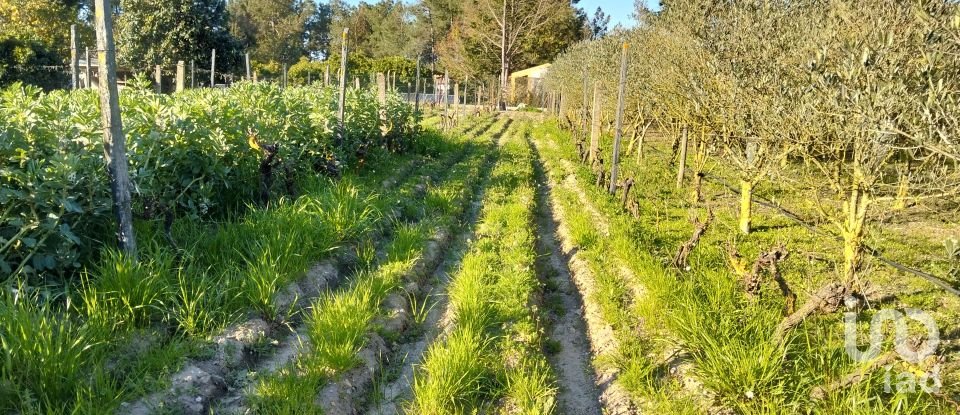 Terrain à bâtir à Pinhal Novo de 2 250 m²