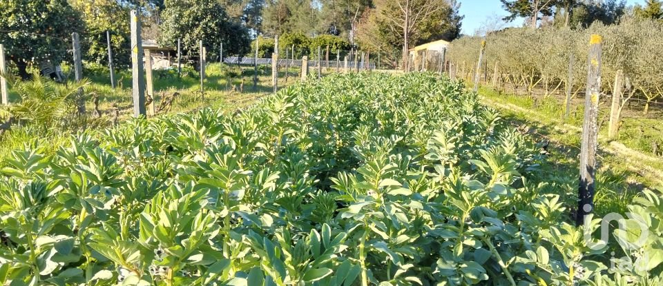 Terrain à bâtir à Pinhal Novo de 2 250 m²