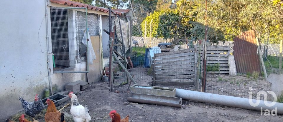 Terrain à bâtir à Pinhal Novo de 2 250 m²