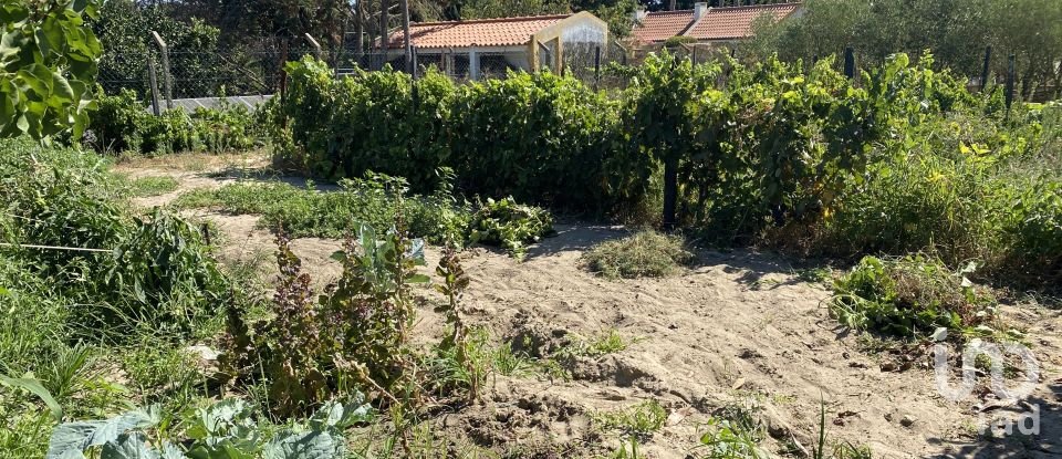 Terrain à bâtir à Pinhal Novo de 2 250 m²