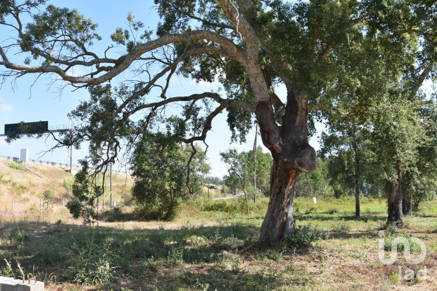 Terreno urbano em Amor de 2 619 m²