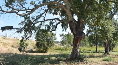 Terrain à bâtir à Amor de 2 619 m²