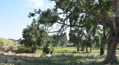 Terrain à bâtir à Amor de 2 619 m²