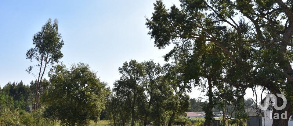 Terreno urbano em Amor de 2 619 m²