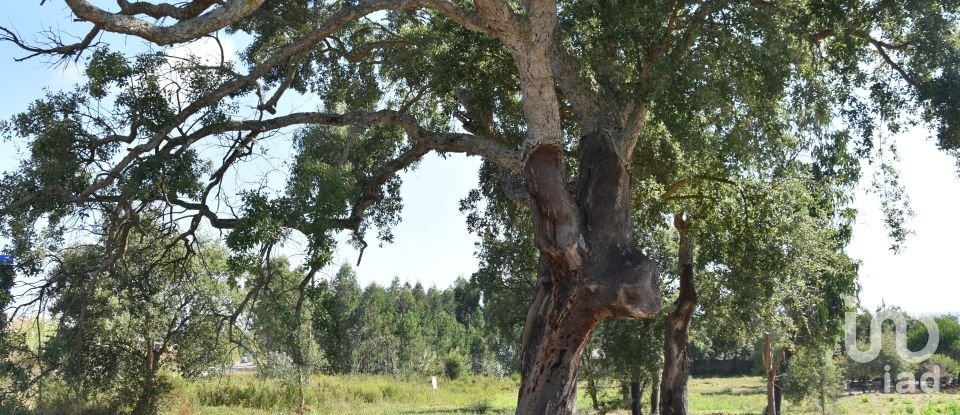 Terreno urbano em Amor de 2 619 m²