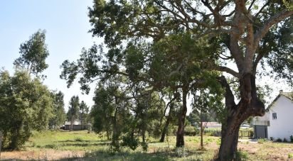 Terrain à bâtir à Amor de 2 619 m²