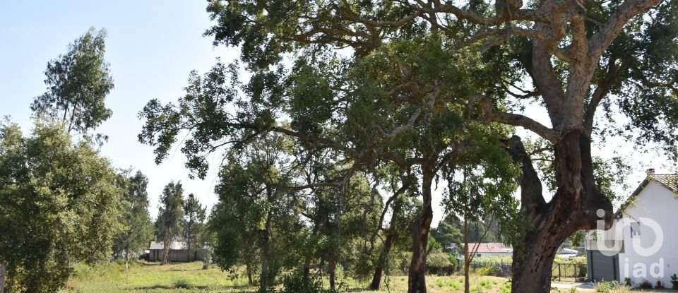 Terreno urbano em Amor de 2 619 m²