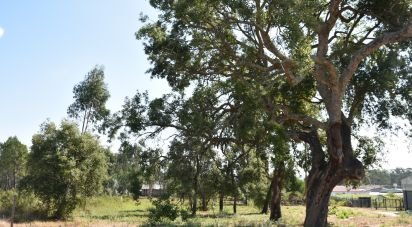 Terrain à bâtir à Amor de 2 619 m²