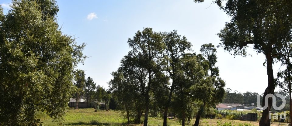 Terreno urbano em Amor de 2 619 m²