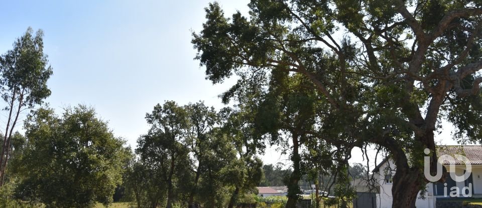 Terreno urbano em Amor de 2 619 m²