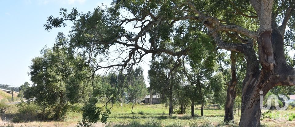 Terreno urbano em Amor de 2 619 m²