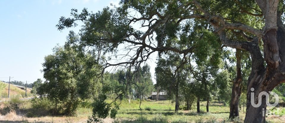 Terreno urbano em Amor de 2 619 m²