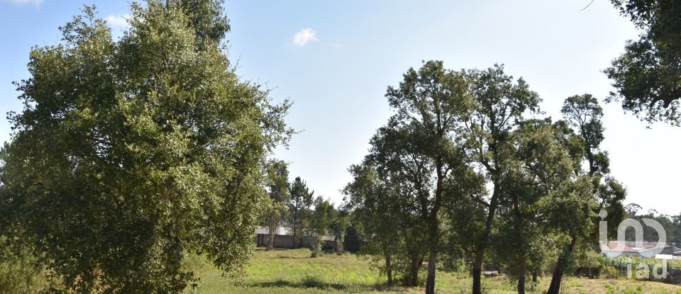 Terreno urbano em Amor de 2 619 m²