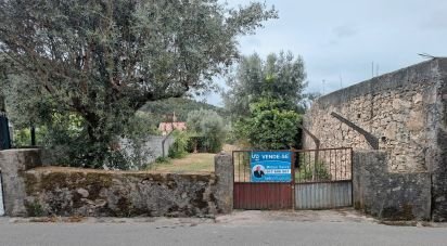 Terrain à Poiares (Santo André) de 855 m²