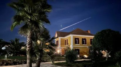 Maison traditionnelle T10 à Pedrógão Grande de 720 m²