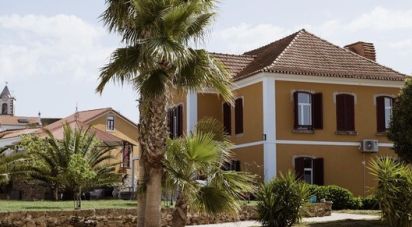 Maison traditionnelle T10 à Pedrógão Grande de 720 m²