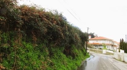 Terrain à Nogueira da Regedoura de 7 231 m²