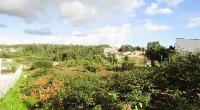 Terrain à Nogueira da Regedoura de 7 231 m²