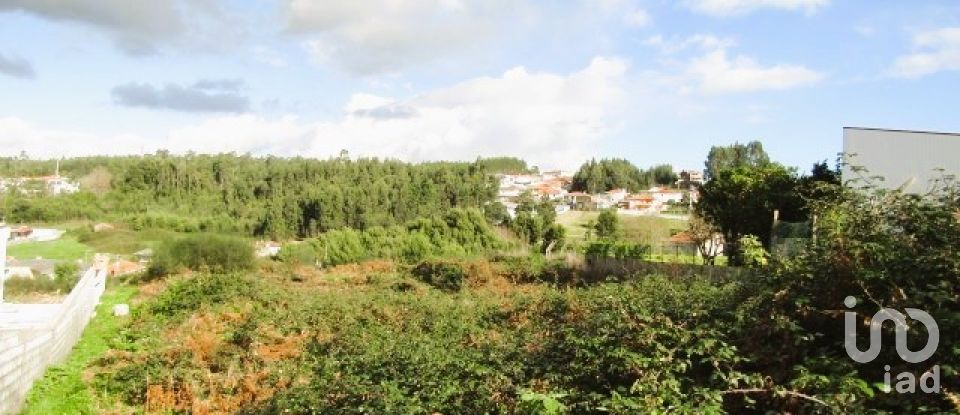 Terreno em Nogueira da Regedoura de 7 231 m²