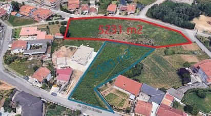 Terrain à Nogueira da Regedoura de 7 231 m²