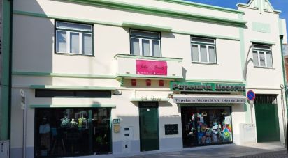 Immeuble à Albergaria-a-Velha e Valmaior de 204 m²