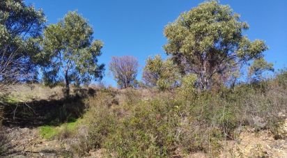Land in Conceição e Cabanas de Tavira of 7,880 m²