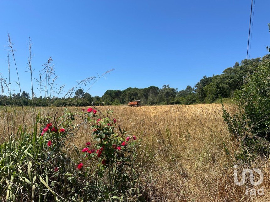 Terrain à bâtir à Requeixo, Nossa Senhora de Fátima e Nariz de 9 500 m²
