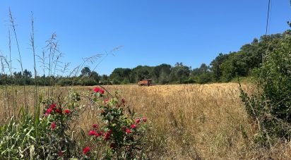Terrain à bâtir à Requeixo, Nossa Senhora de Fátima e Nariz de 9 500 m²