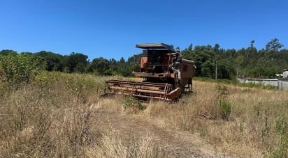 Terrain à bâtir à Requeixo, Nossa Senhora de Fátima e Nariz de 9 500 m²