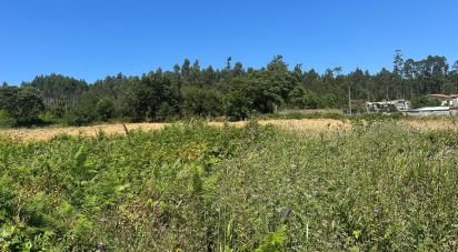 Terrain à bâtir à Requeixo, Nossa Senhora de Fátima e Nariz de 9 500 m²