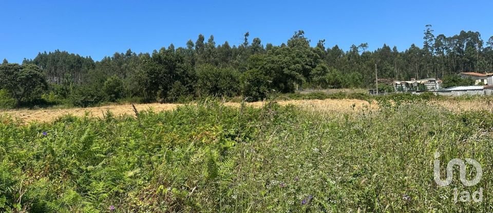Terrain à bâtir à Requeixo, Nossa Senhora de Fátima e Nariz de 9 500 m²