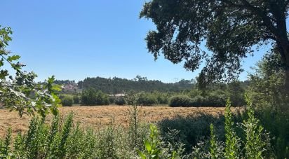 Terrain à bâtir à Requeixo, Nossa Senhora de Fátima e Nariz de 9 500 m²