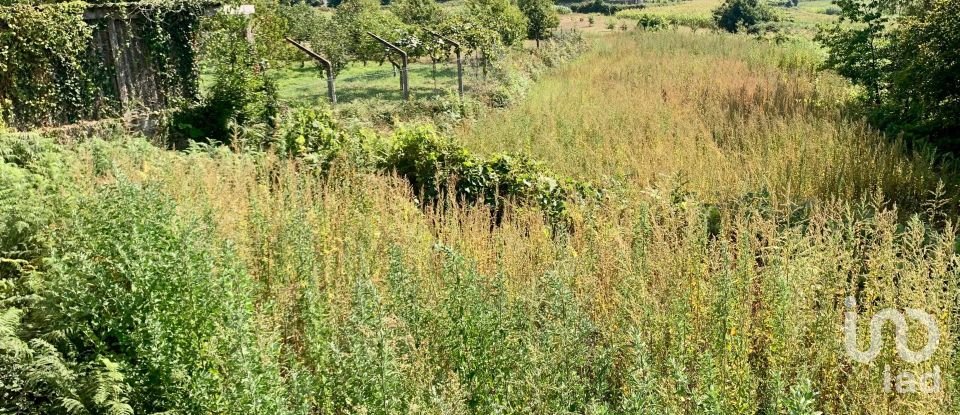 Terreno em Riba de Âncora de 1 480 m²