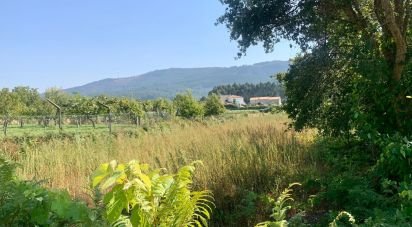 Land in Riba de Âncora of 1,480 m²