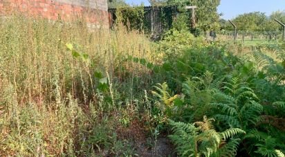 Land in Riba de Âncora of 1,480 m²