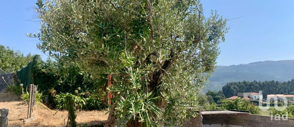 Terreno em Riba de Âncora de 1 480 m²