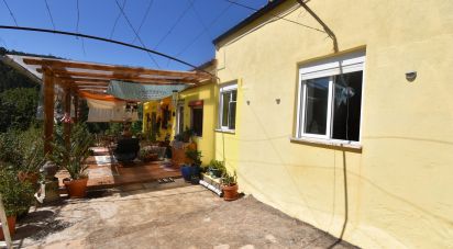 Maison traditionnelle T1 à São Miguel, Santa Eufémia e Rabaçal de 87 m²