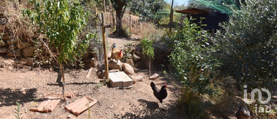 Traditional house T1 in São Miguel, Santa Eufémia e Rabaçal of 87 m²
