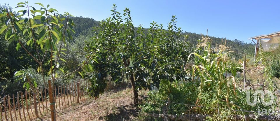 Traditional house T1 in São Miguel, Santa Eufémia e Rabaçal of 87 m²