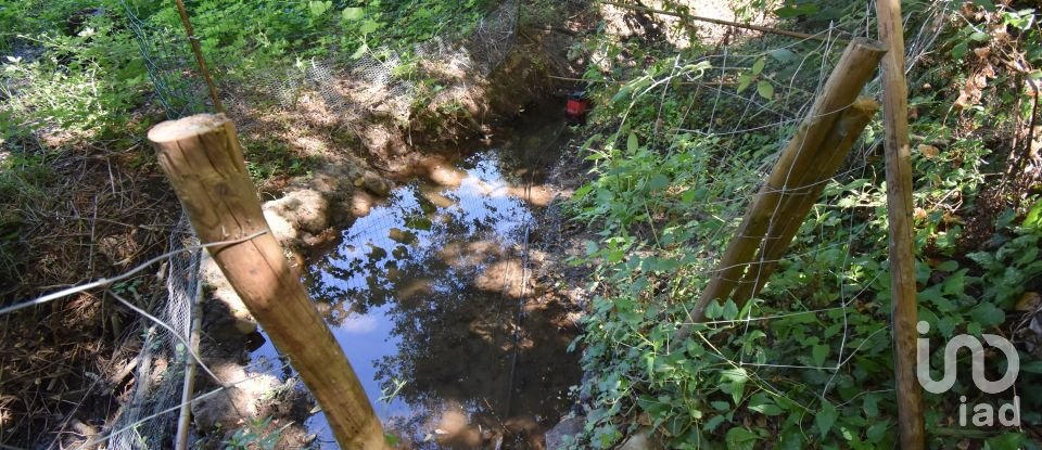 Traditional house T1 in São Miguel, Santa Eufémia e Rabaçal of 87 m²