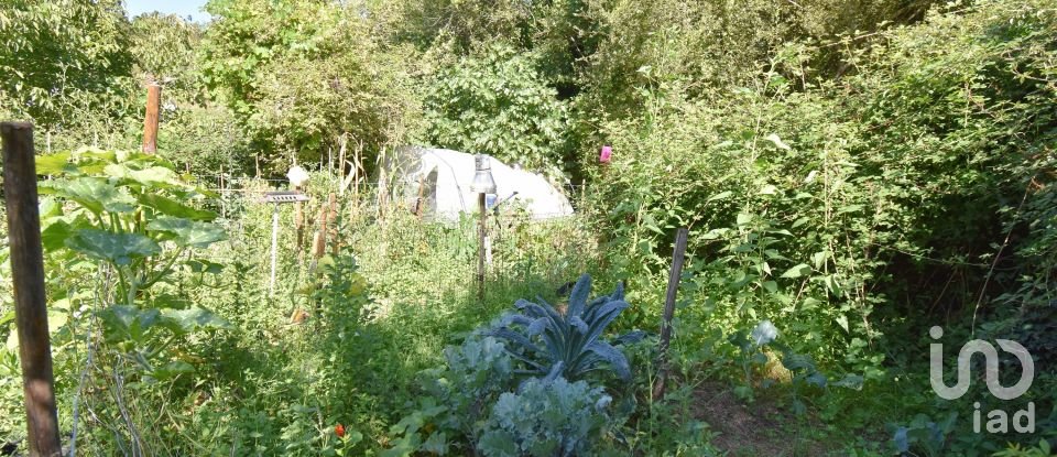 Traditional house T1 in São Miguel, Santa Eufémia e Rabaçal of 87 m²