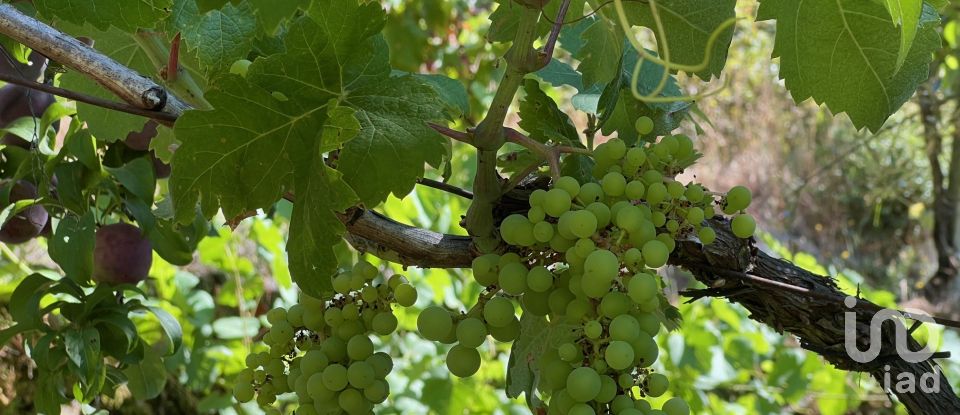 Maison T2 à Valadares de 75 m²