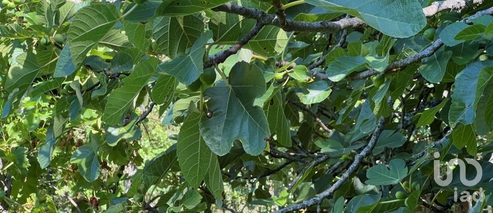 Maison T2 à Valadares de 75 m²