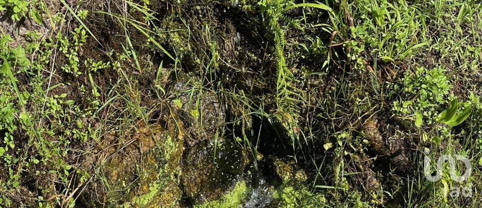 Maison T2 à Valadares de 75 m²