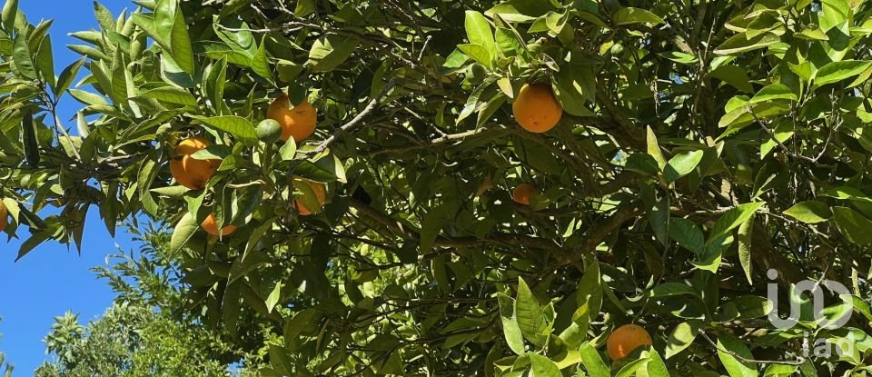 Maison T2 à Valadares de 75 m²