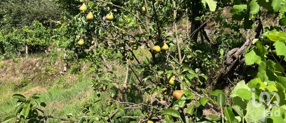 Maison T2 à Valadares de 75 m²